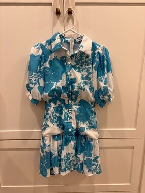 Blue White Floral Puff Sleeve Mini Dress